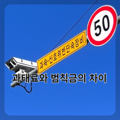 썸네일 과태료&#44; 범칙금 차이