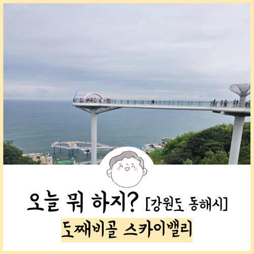  동해 가볼만한곳 도째비골 스카이밸리 후기! 23.08.12 방문