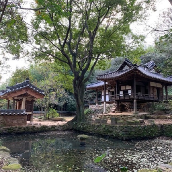 ] : 보성 여행지 강골마을 열화정_드라마 <옷소매 붉은 끝동>, <신입사관 구해령> 촬영지 [ My Dream (마이 드림) - 윤미래 (드라마 <신입사관 구해령> OST) 3
