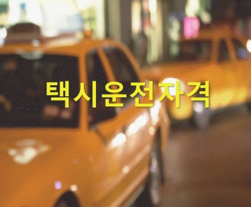  개인택시 자격조건 및 결격사유