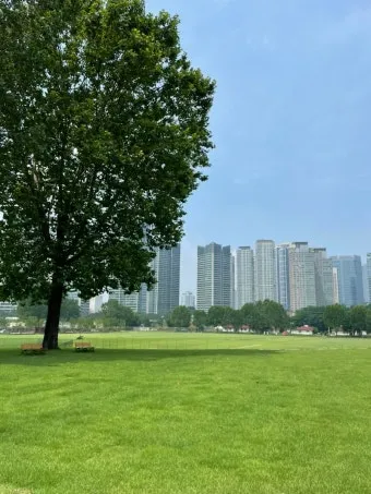 용산어린이정원 온화 전시 서울 전시회 추천_16