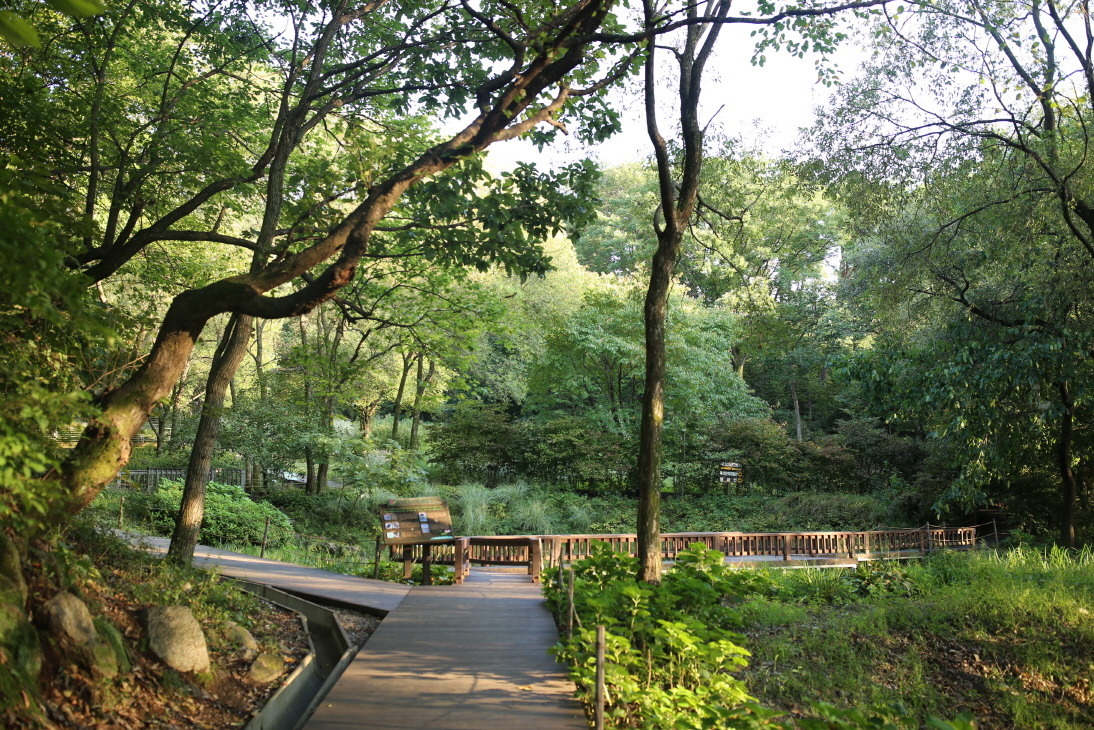 용인자연휴양림 예약 이용요금 정보