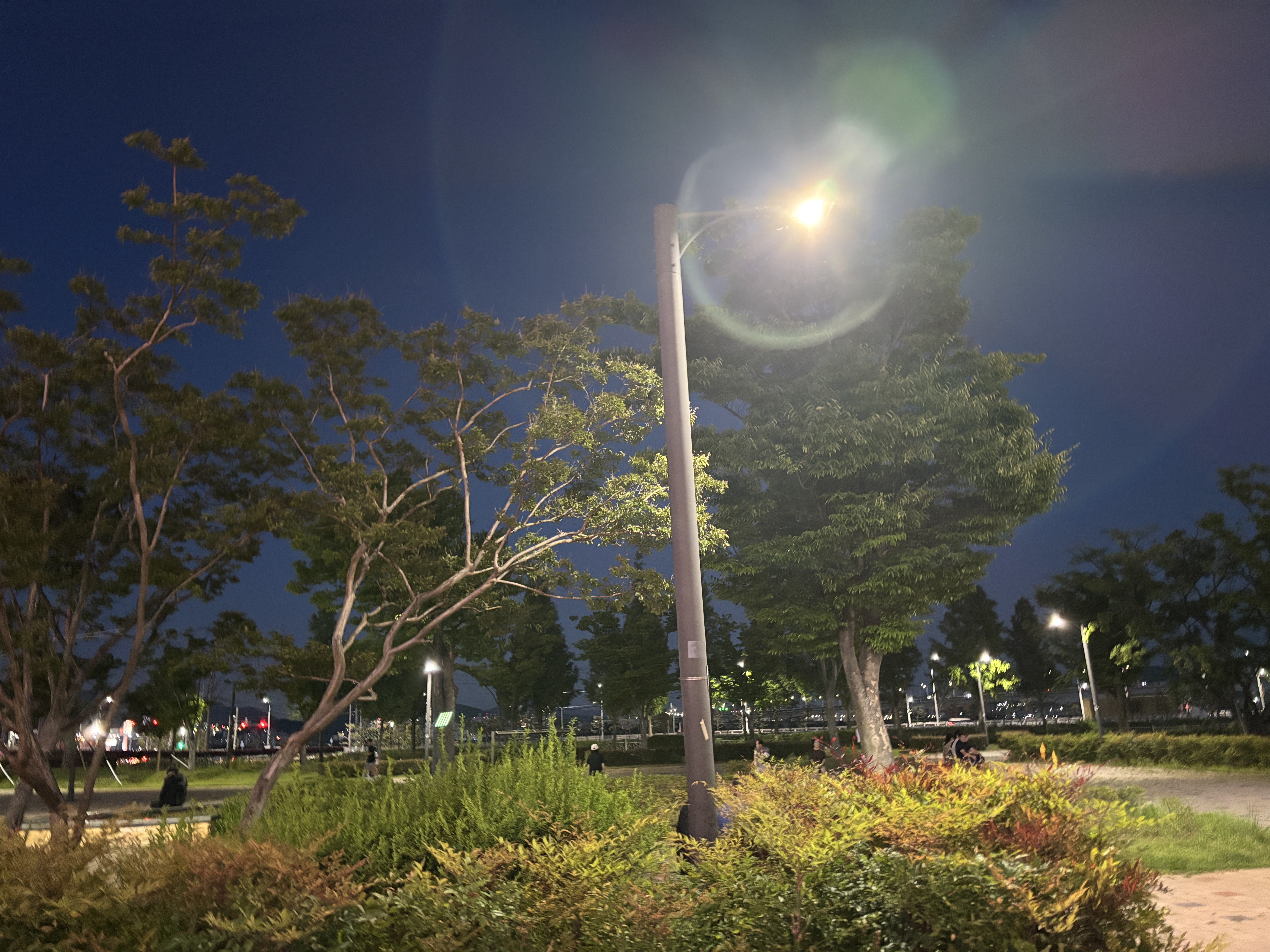 홍익돈까스 부산명지점 사진 8