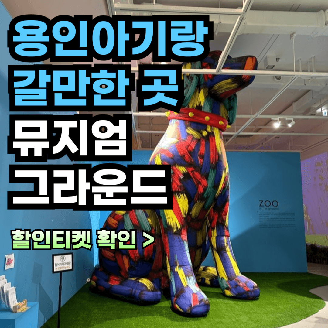 용인 아기랑 갈만한 곳 뮤지엄그라운드