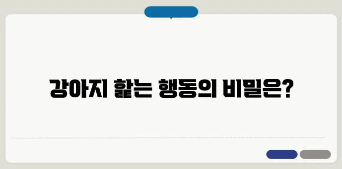 강아지가 핥는 이유와 행동의 의미