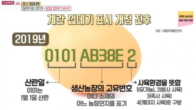  좋은 계란 고르는 법 (feat. 동물복지 유정란)
