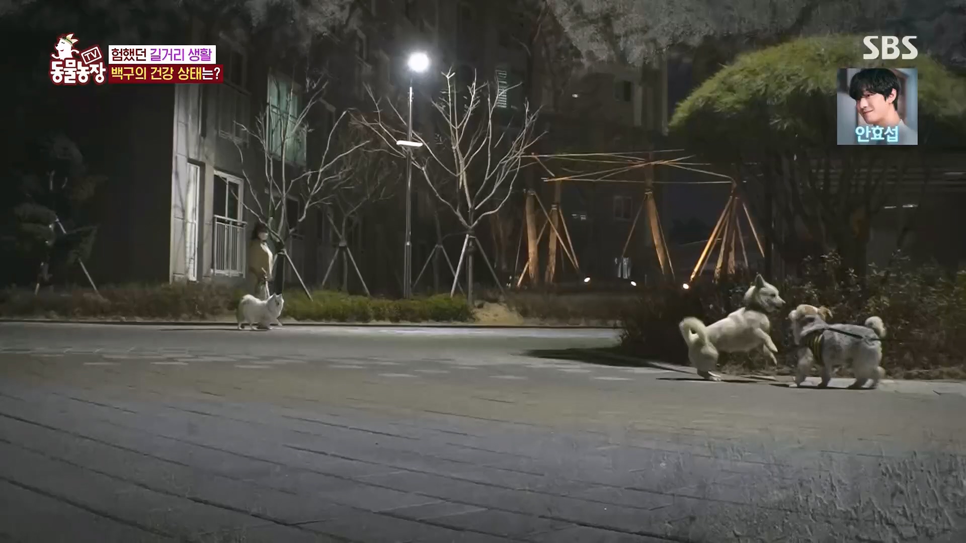 TV 동물농장.E1118.230430p.H264-F1RST.mp4_20230430_172344.838.jpg