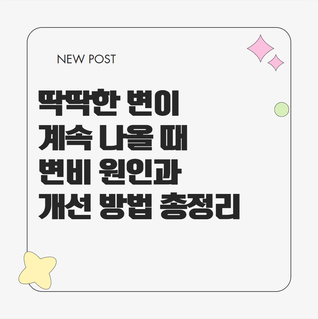 딱딱한 변이 계속 나올 때 변비 원인과 개선 방법 총정리