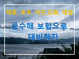  정보 플러스_태풍 침수 대비! 풍수해 보험료 정부 지원(지원대상, 가입 방식, 종류, 가입절차)