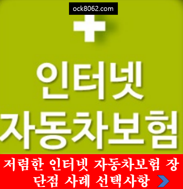 저렴한 인터넷 자동차보험 장단점 사례 선택사항