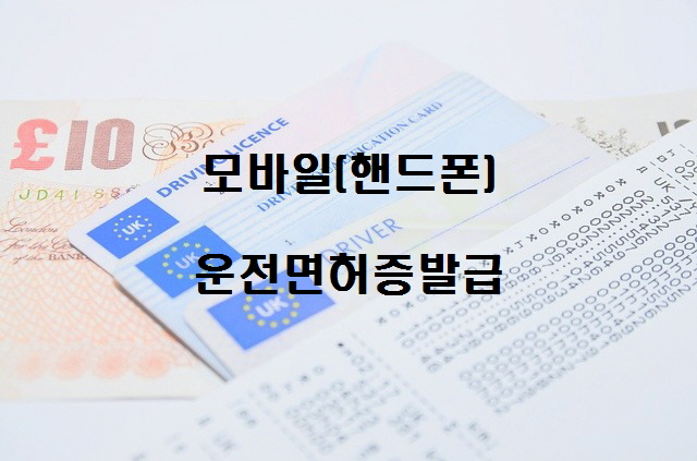  노다지네 잡학다식