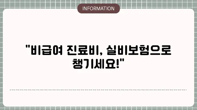 실비보험 청구 - 비급여 진료비 보장 및 청구 방법
