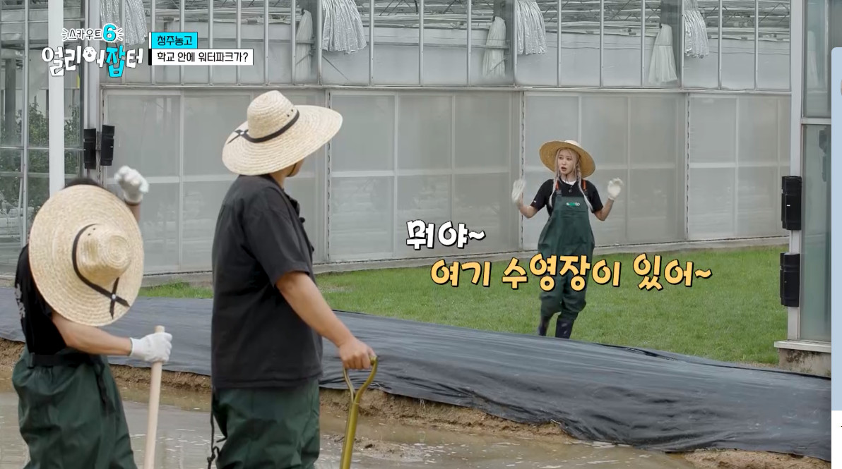 개신기한 병아리 꿈틀대면서 부화하는 모습...jpg | 인스티즈
