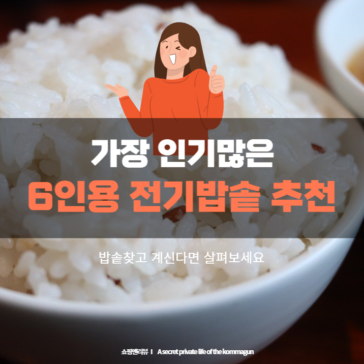  가장 인기많은 6인용 전기밥솥 추천