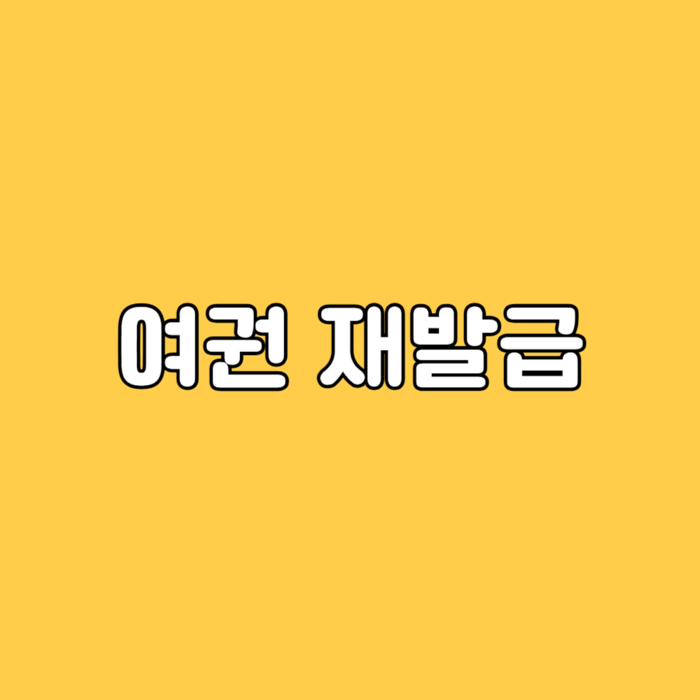 여권 재발급