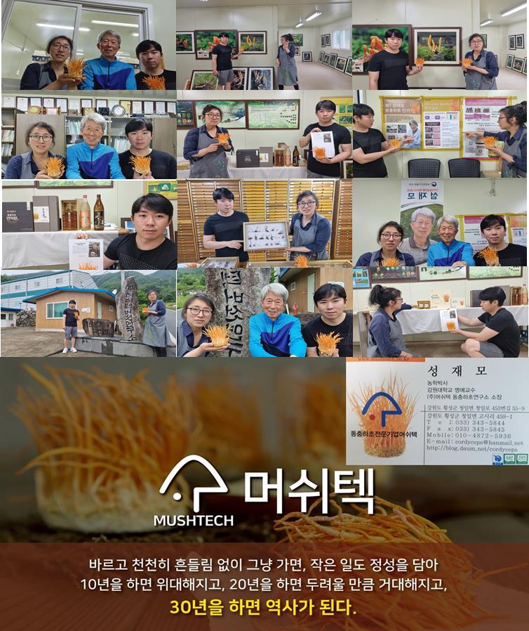 윤토마 이미지