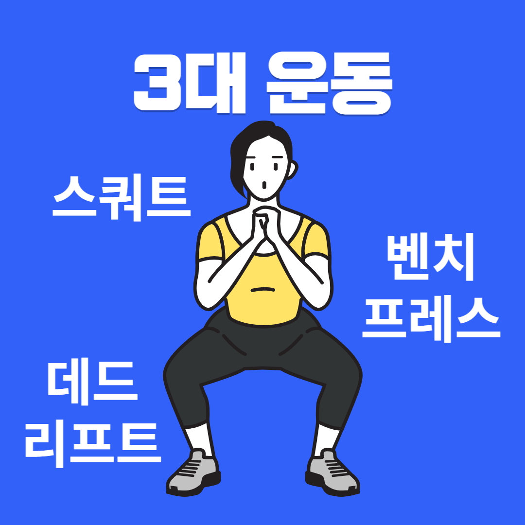  3대운동 올바른 스쿼트 자세