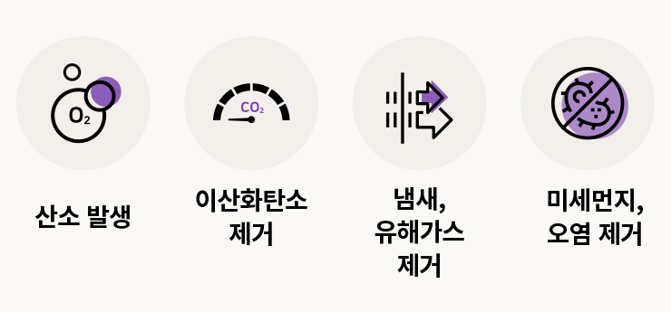허니슬립 이미지