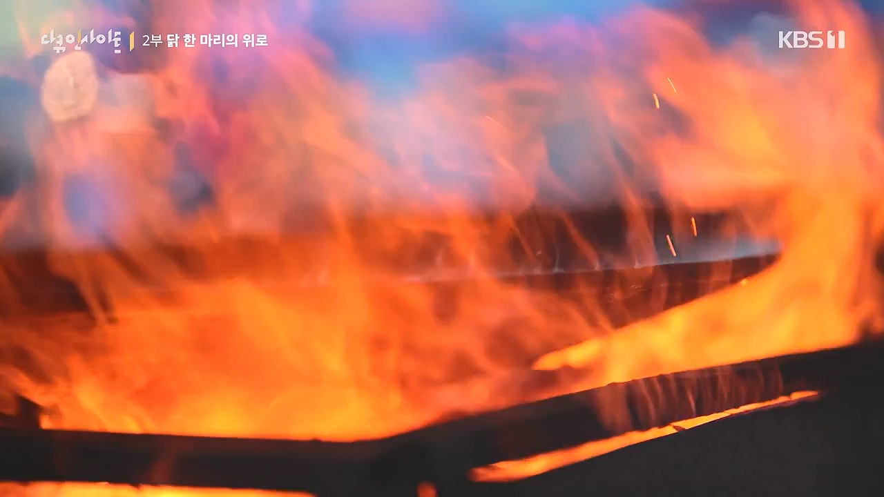 다큐 인사이트.E191.240532p-NEXT.mp4_20240601_163423.895.jpg