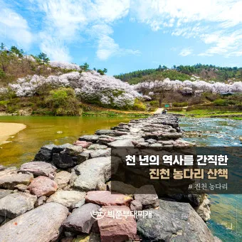 진천 여행코스 정리 아이와 함께 가볼만한 명소들_4