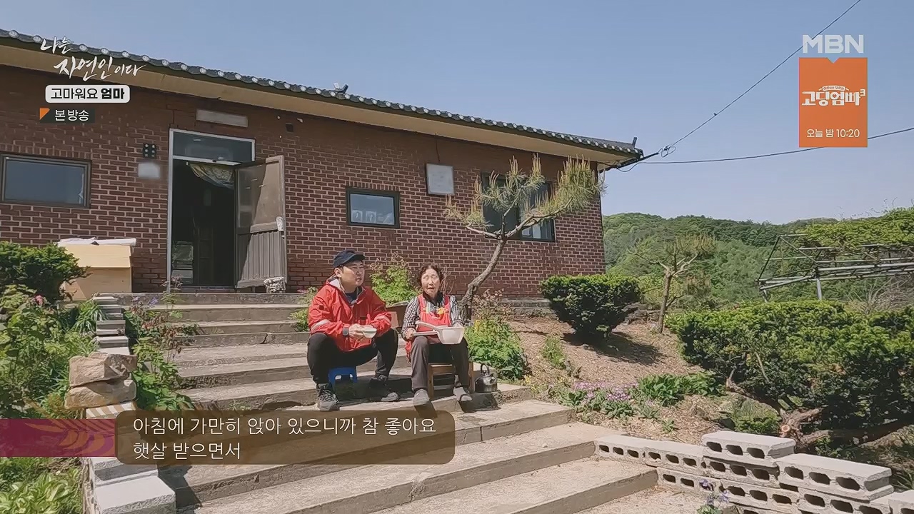 나는 자연인이다.E554.230518p.H264-F1RST.mp4_20230518_194521.641.jpg