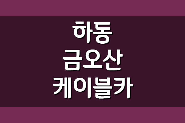  하동 금오산 케이블카 요금 운영시간 정보