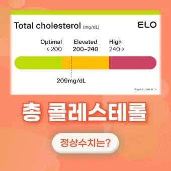 총콜레스테롤 이란 정상수치 낮추는법_19
