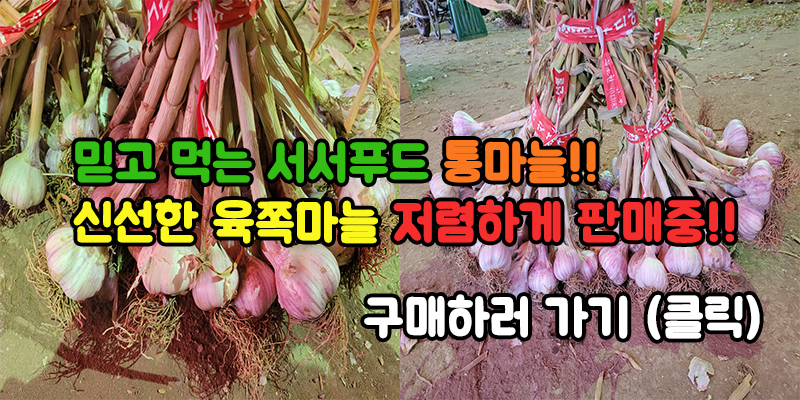대구 맛집탐방 북부정류장, 서대구고속터미널 근처 국밥 진배기원조할매국밥 만평점 후기 - 읽어주셔서 감사합니다💕 대구 맛집탐방 북부정류장, 서대구고속터미널 근처 국밥 진배기원조할매국밥 만평점 후기 - 읽어주셔서 감사합니다💕
