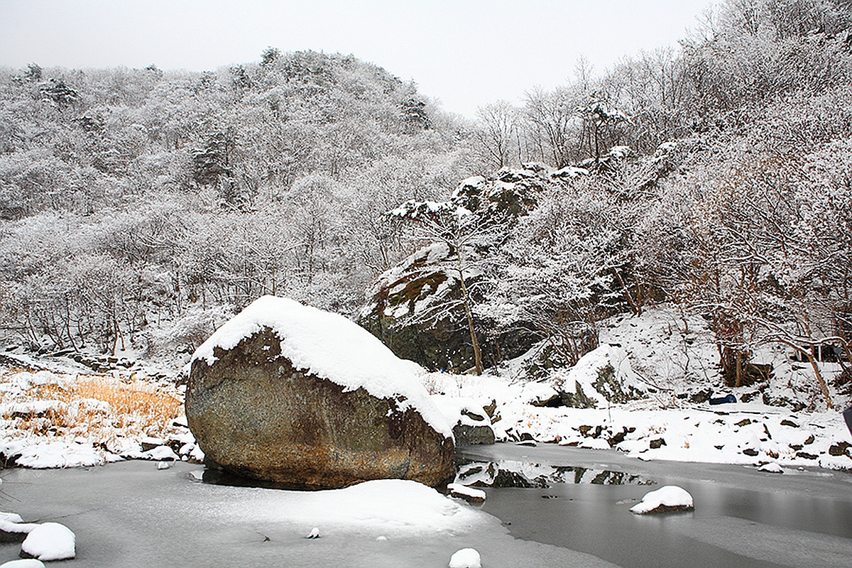 보령 성주산