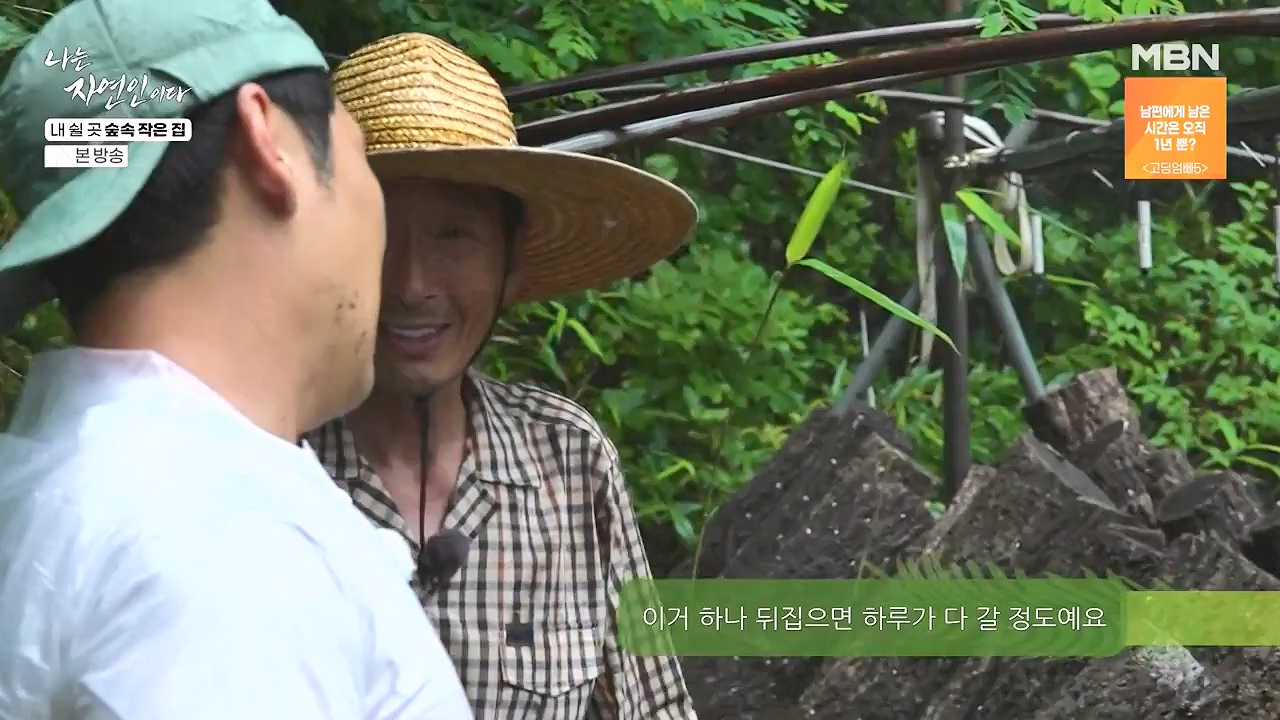 나는 자연인이다.E613.240711p-NEXT.mp4_20240711_195307.867.jpg