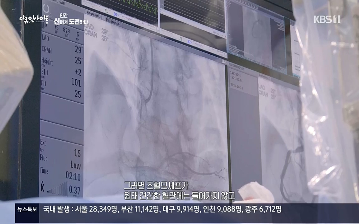 다큐 인사이트.E121.220819p.H264-F1RST.mp4_20220822_180812.625.jpg