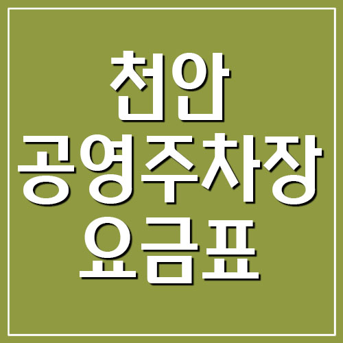 천안 공영주차장 요금표 및 운영시간