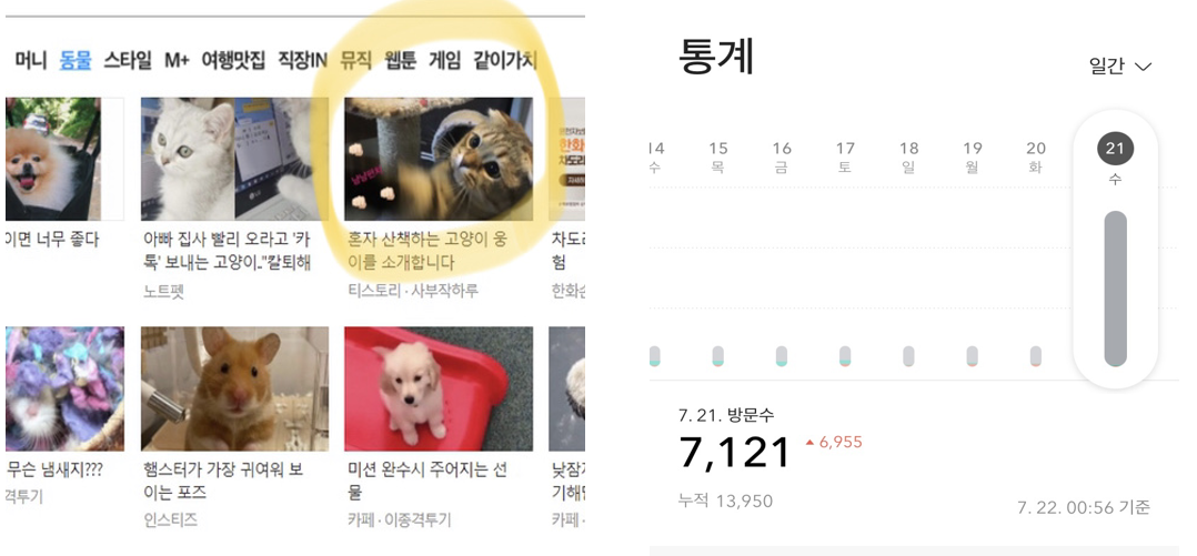  블로그43일차 : 수익 /  애드센스 광고 팁 공유