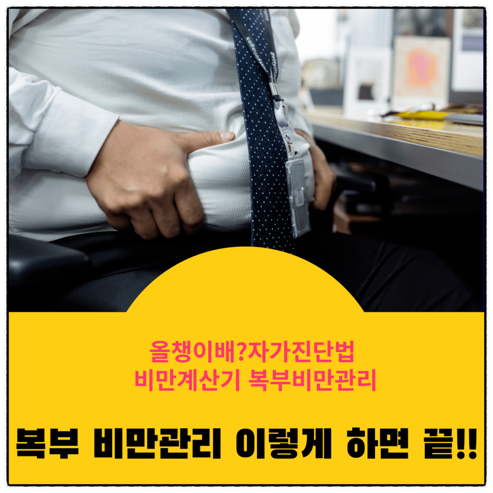  남자여자 복부비만 올챙이배/ 자가진단방법/계산기/비만관리