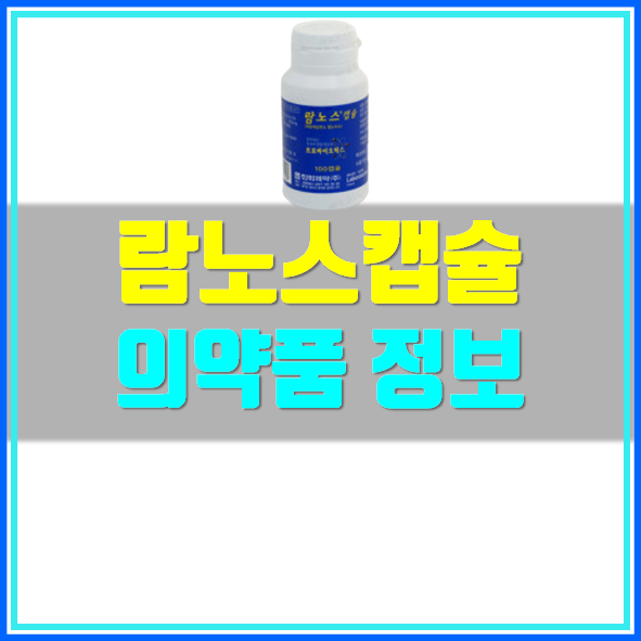  람노스 캡슐 효능 부작용 복용법