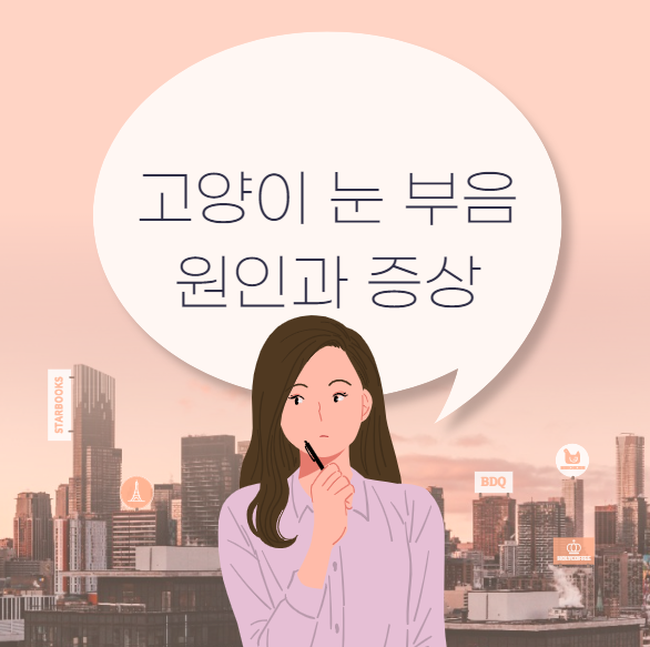 고양이 눈 부음 원인과 증상