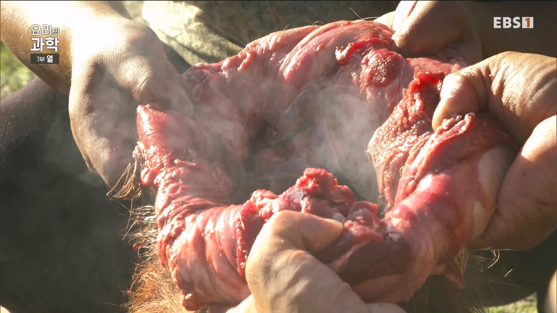 [다큐 스페셜] 요리의 과학 - 1부 열.mp4_20240411_194555.390.jpg