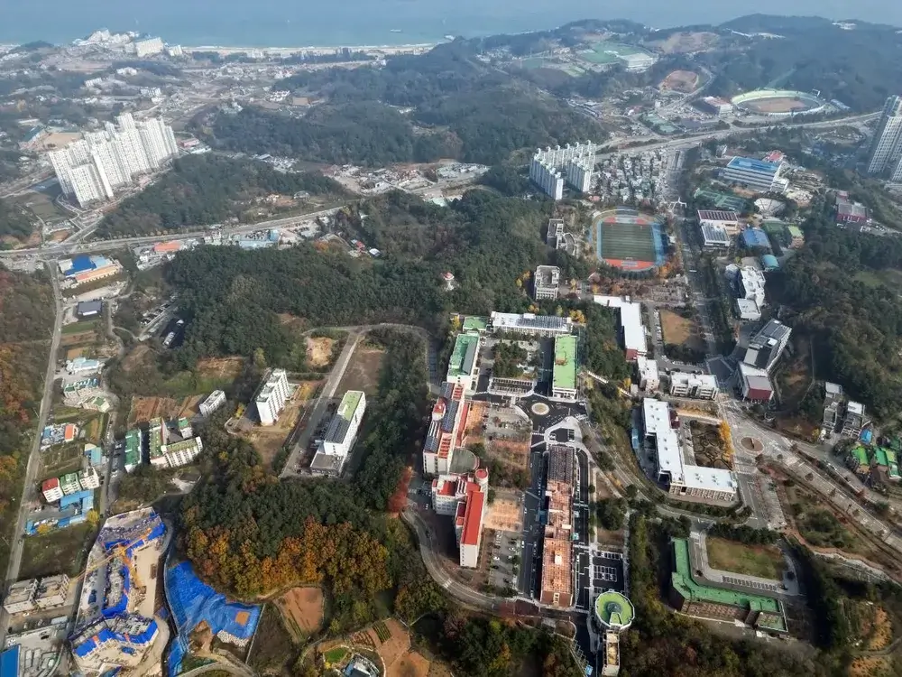 물리치료학과가 있는 대학