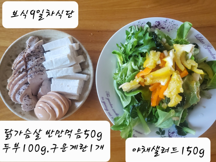 14일 & 보식총정리 20