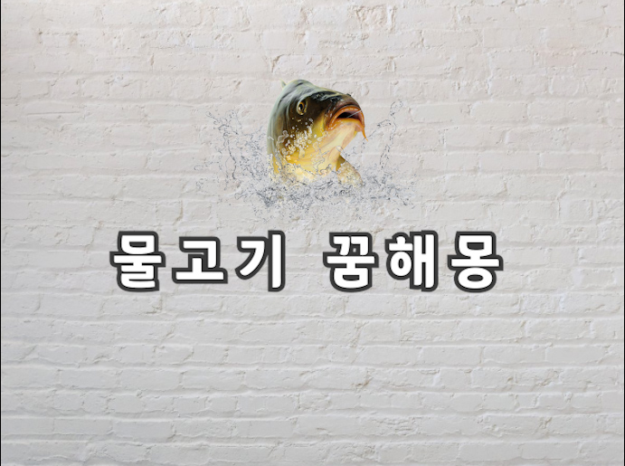  물고기 꿈 물고기 꿈해몽이 궁금하다면 보고가시면 좋아요