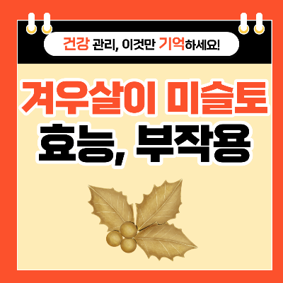 겨우살이 미슬토 효능과 부작용