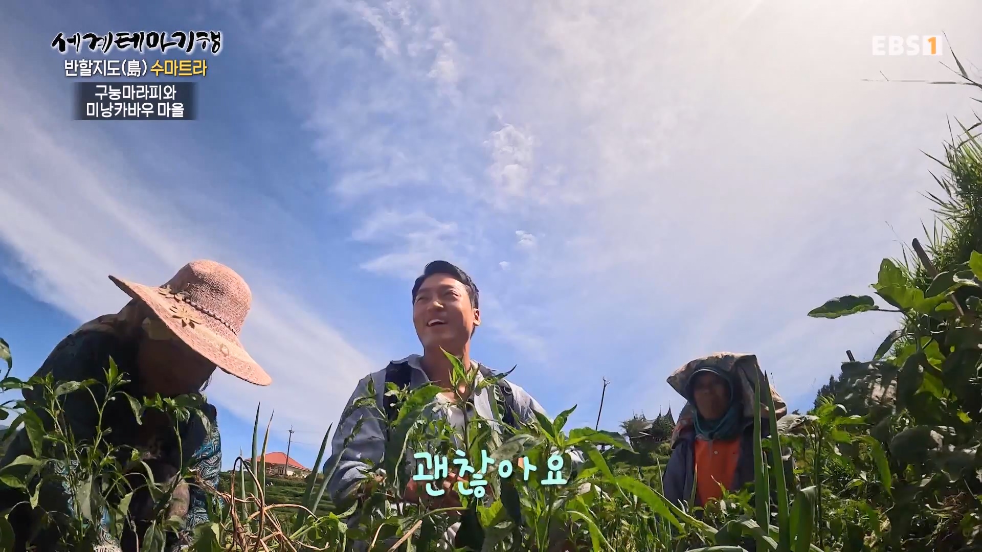 세계테마기행.230803.반할지도(島) 수마트라-4.미낭카바우에 반하다.mp4_20230820_131542.994.jpg