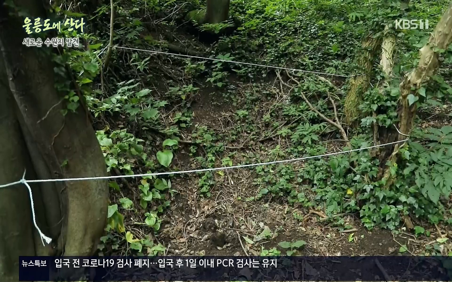 다큐울릉도에산다.E01.220909p.H264-F1RST.mp4_20220912_180550.794.jpg