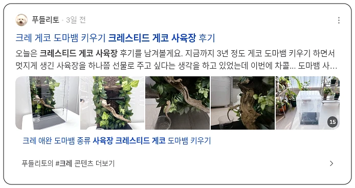 크레스티드게코 사육장_2_subsection