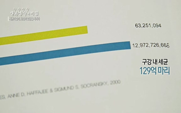 [792회] 생로병사의 비밀 - KBS[세균의 습격, 당신의 잇몸을 지켜라!] 감기보다 병원을 더 자주 찾게 만드는 질병이 있다. 바로 치주질환이다. 2020년 외래 다빈도 질병 1위를 차지한 치은염 및 치주질환 환자는 1,637_20220505_141556.529.jpg