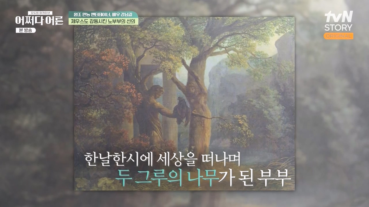 어쩌다 어른.E35.230607p-NEXT.mp4_20231108_211922.857.jpg
