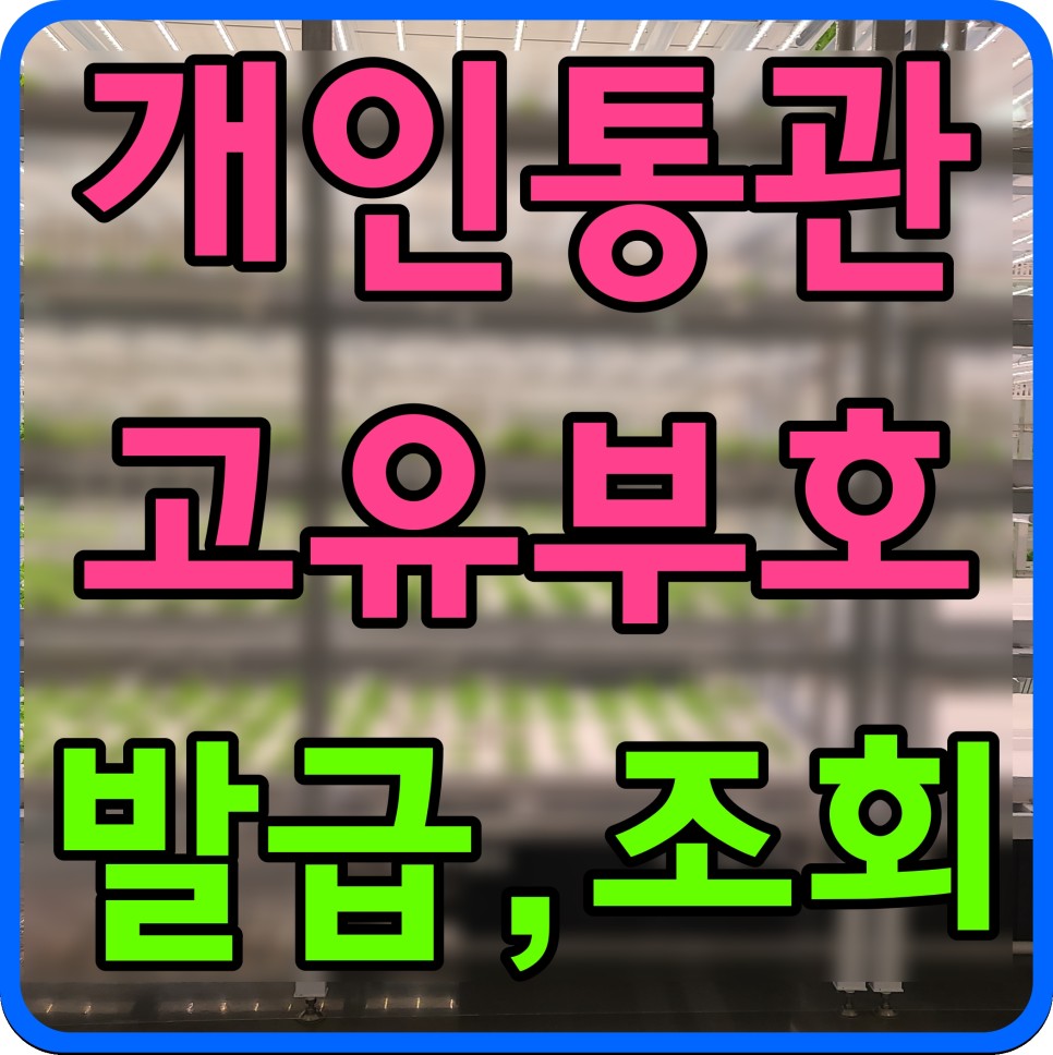 해외직구 개인통관 고유번호 관세청 개인통관고유부호 발급 조회 4
