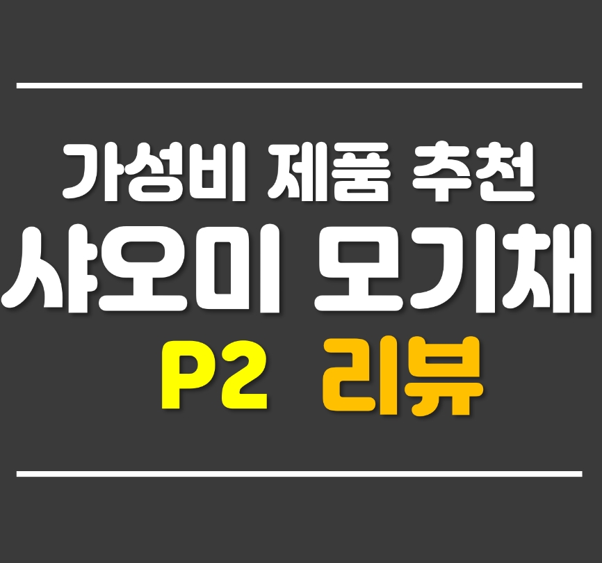  샤오미 전기모기채 SOLOVE P2 - 가성비 제품 추천