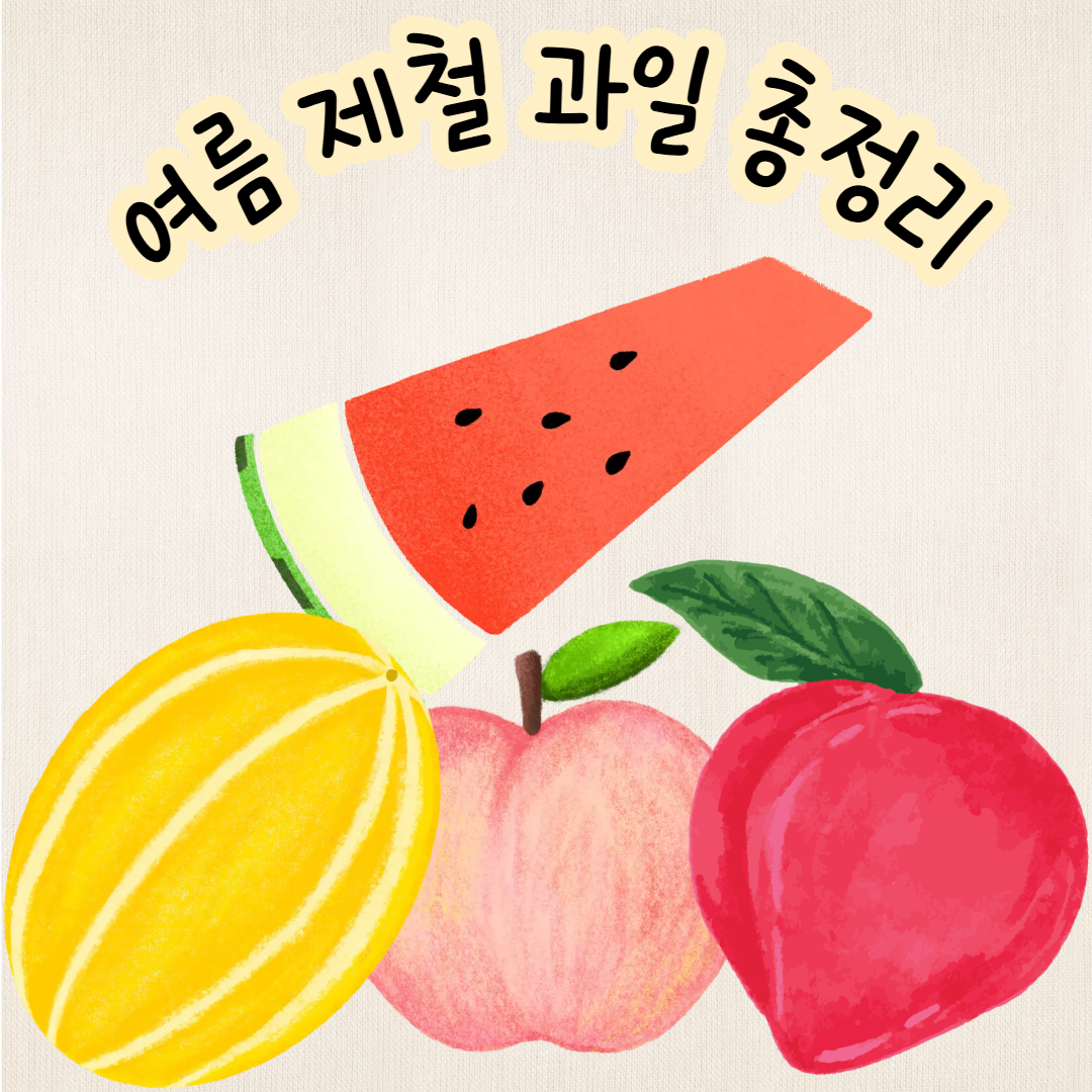 🍉여름 제철 과일 총정리 - 무더위를 이겨내는 자연의 선물!