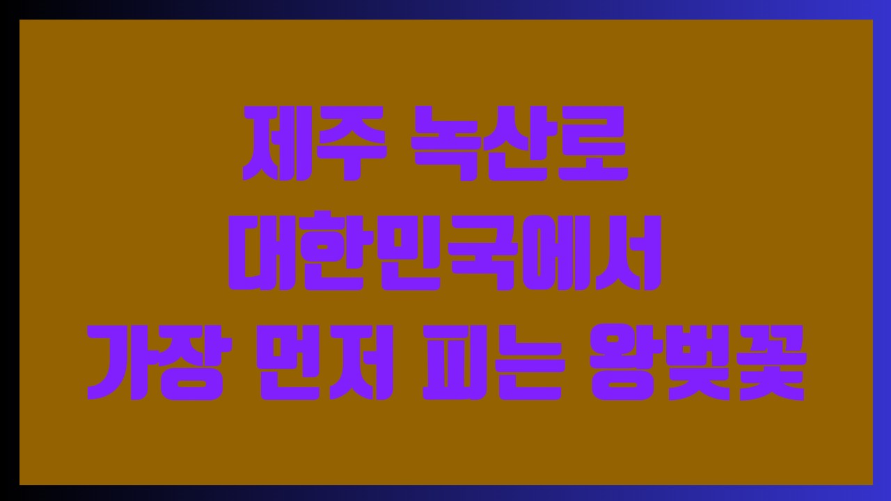 제주 녹산로 – 대한민국에서 가장 먼저 피는 왕벚꽃